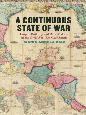cover image of A Continuous State of War